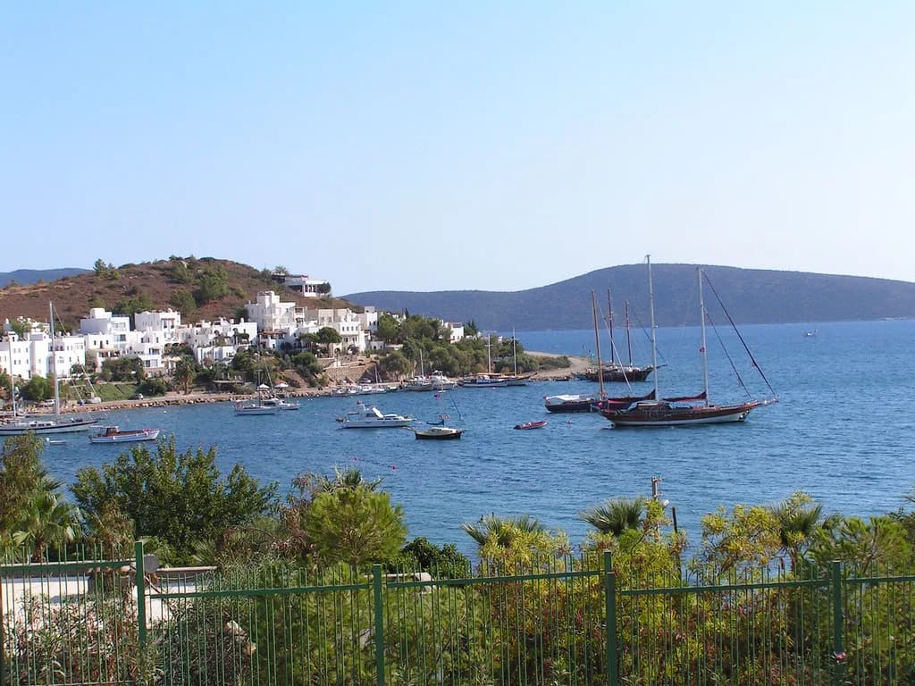 Bodrum Horse Riding: Trails, Ride Lengths and How to Book