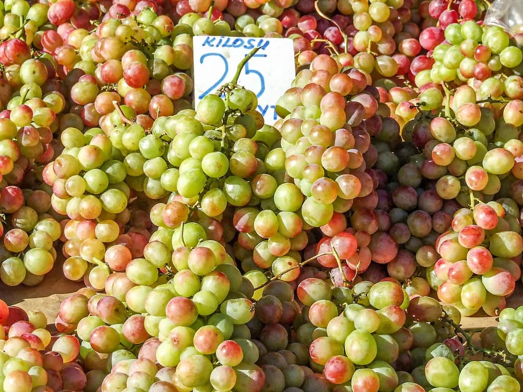 Didim Markets: Market Days, Locations and What's Sold
