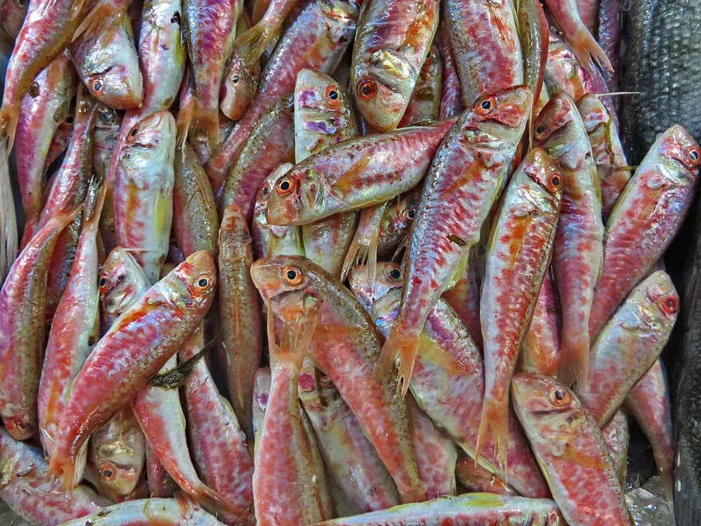 Fethiye Bazaar: What to Buy, Market Days and Haggling