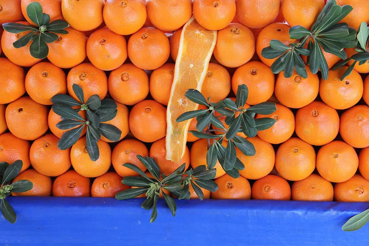 Kuşadası Market Days: What's On, Where and How to Haggle