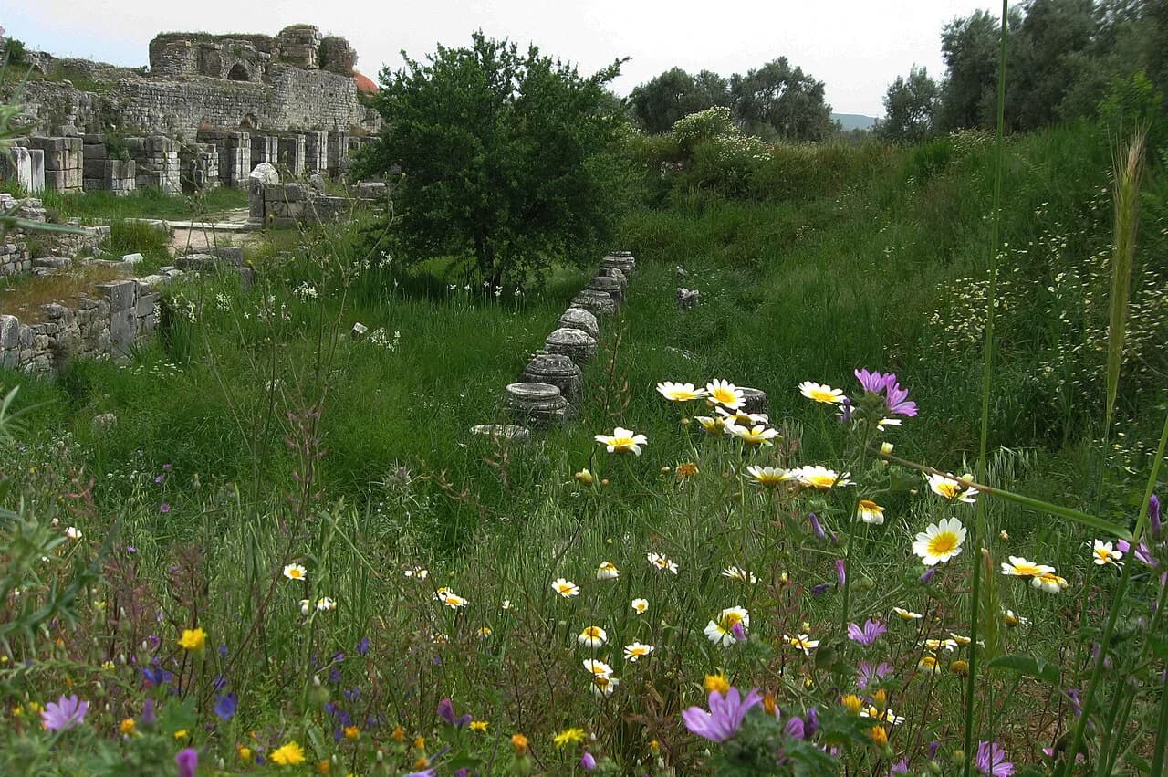 Miletus: What to See, Getting There and How Long You Need