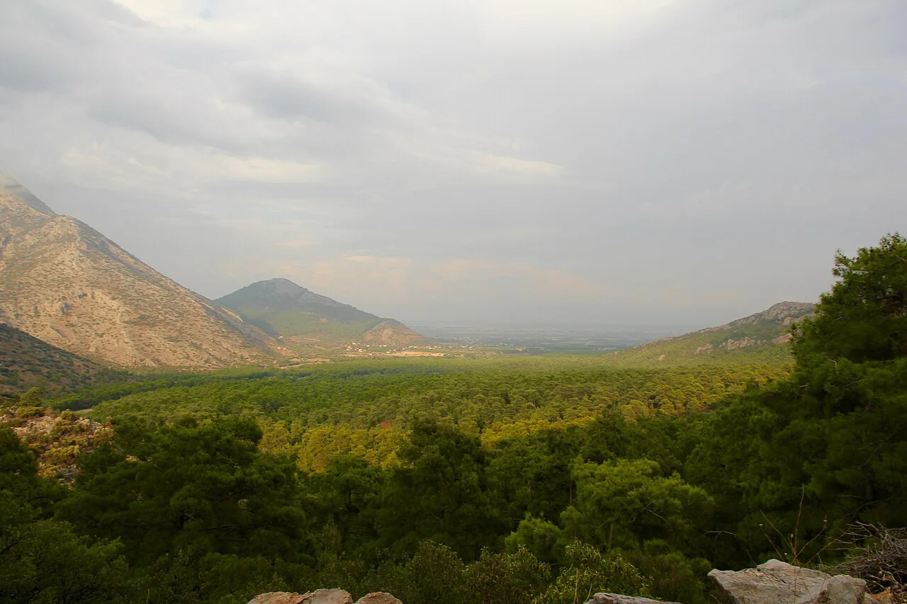 Forested valleys of Güllük Dağı National Park seen from Termessos.