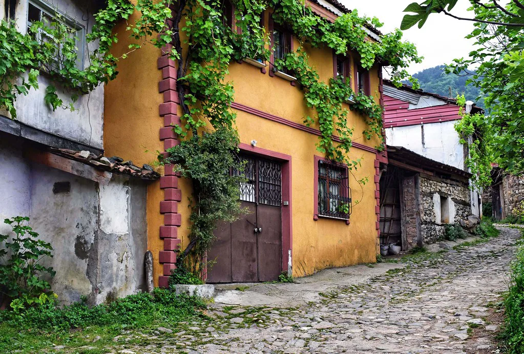 A cobbled lane and old houses in Cumalıkızık village near Bursa.