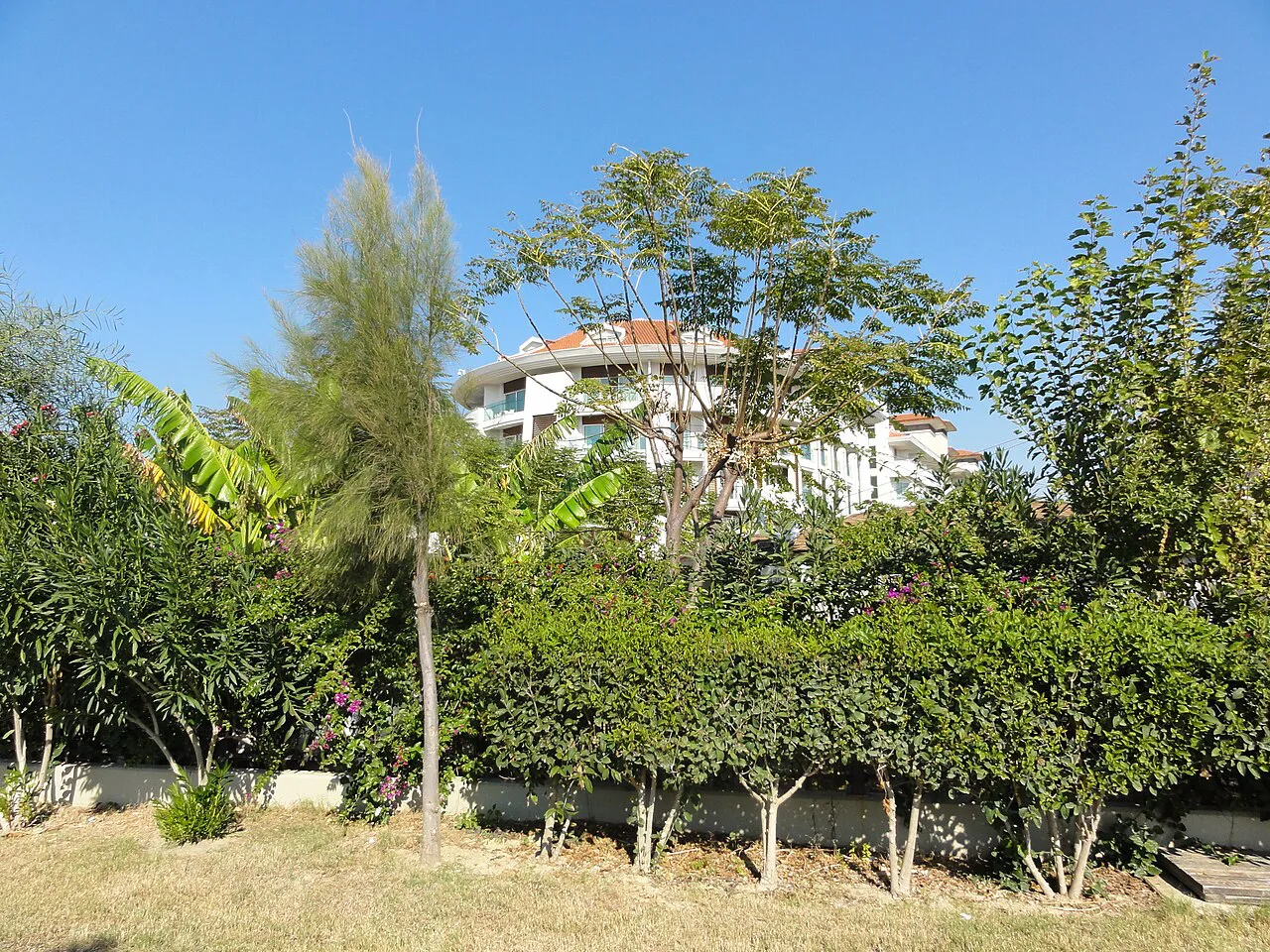 A beach hotel set among gardens in Evrenseki.