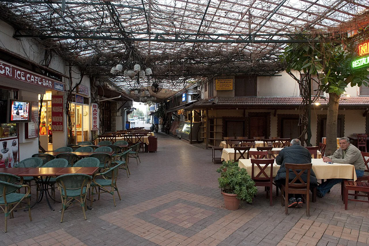 Restaurant tables under a vine-covered canopy on a pedestrian street in Fethiye.