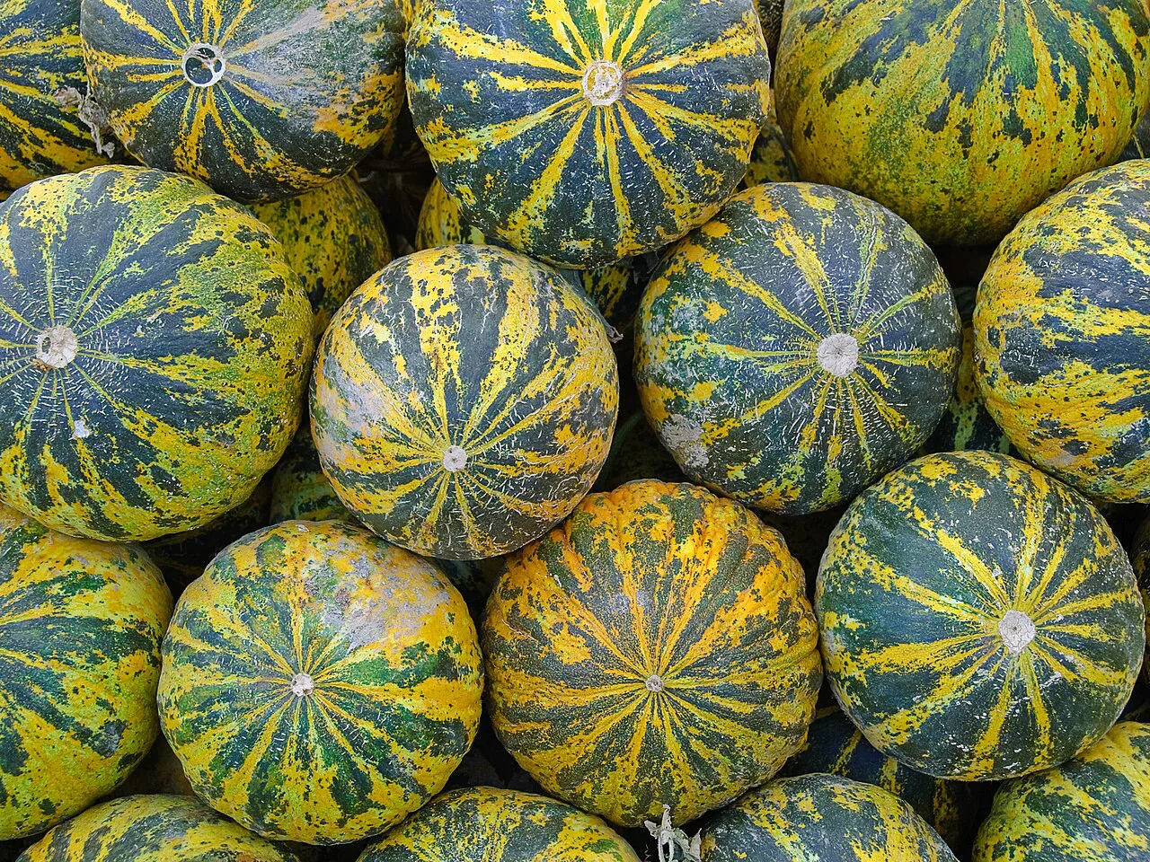 Melons piled up at Fethiye market.