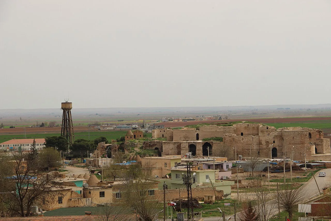 Old houses of Harran with the castle beyond.