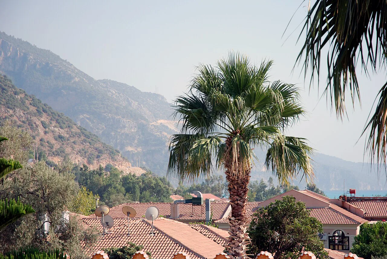 Palms and red-tiled roofs below the mountain slopes near Ölüdeniz.