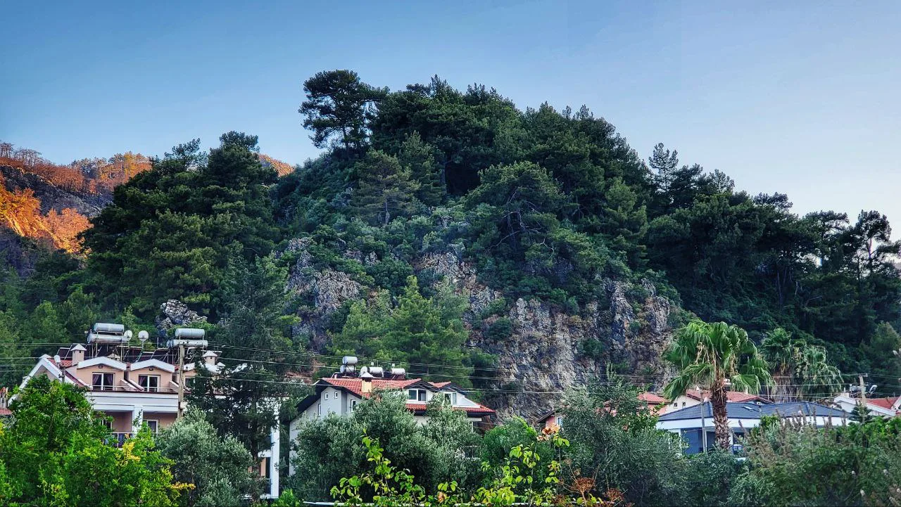 Houses beneath a pine-covered hillside in İçmeler.
