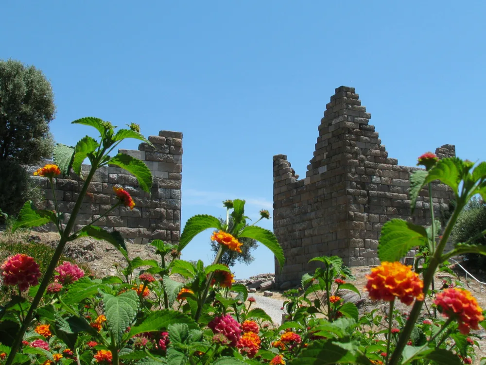 Flowers in front of the ruined towers of the Myndos Gate in Bodrum.
