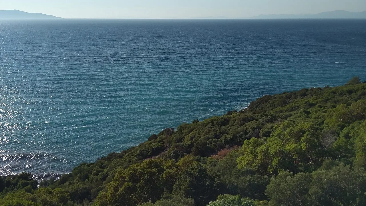The sea and wooded slopes of Dilek Peninsula near Kuşadası.