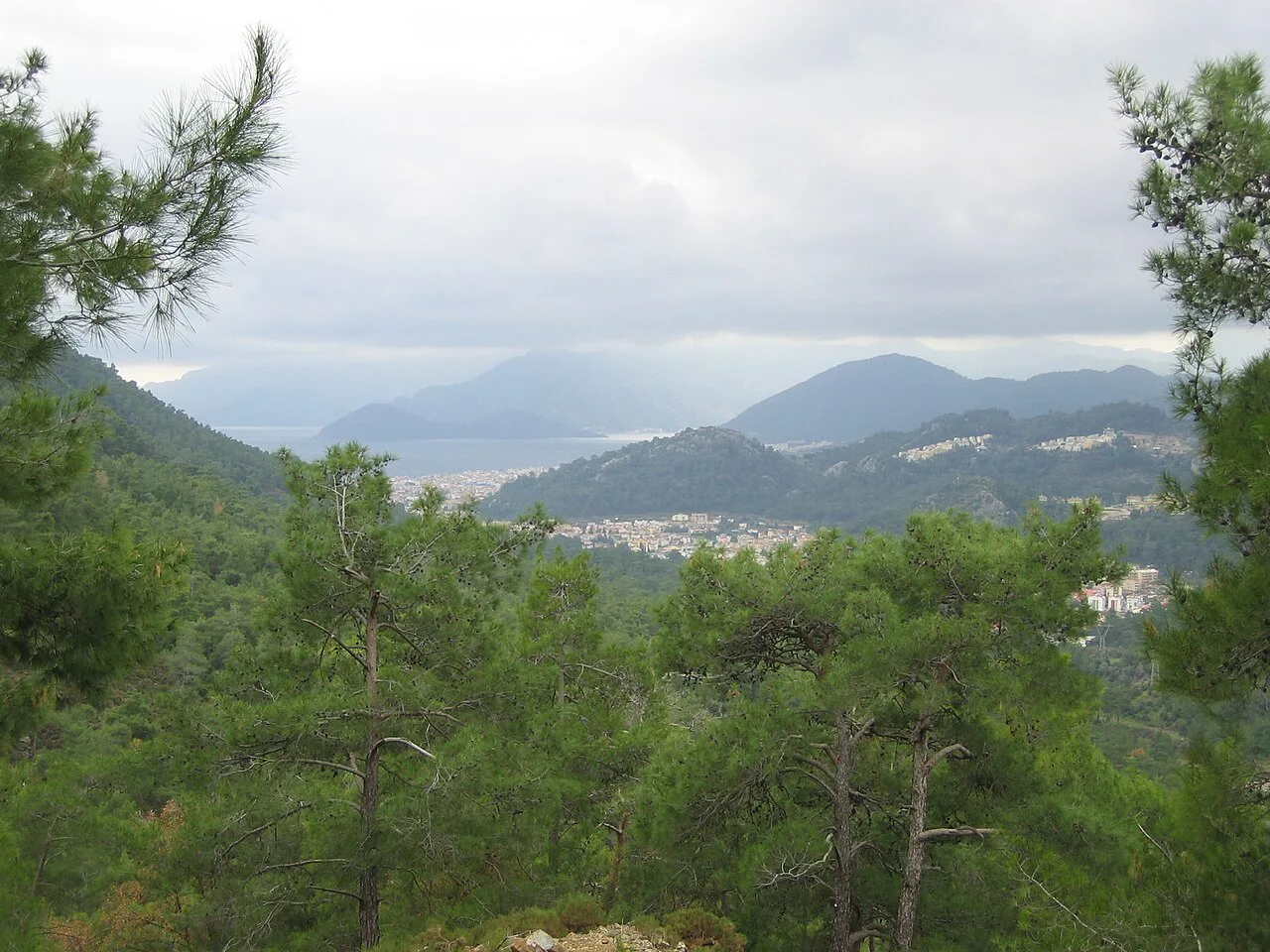 Pine forest in the hills above Marmaris bay.