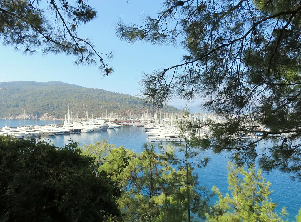 Marmaris marina and bay seen through pine trees.