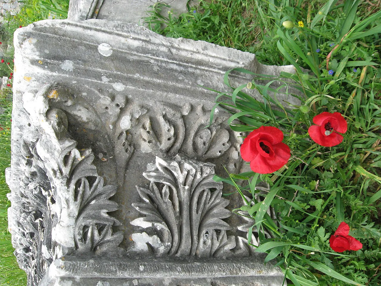 A carved marble capital among red poppies at Miletus.