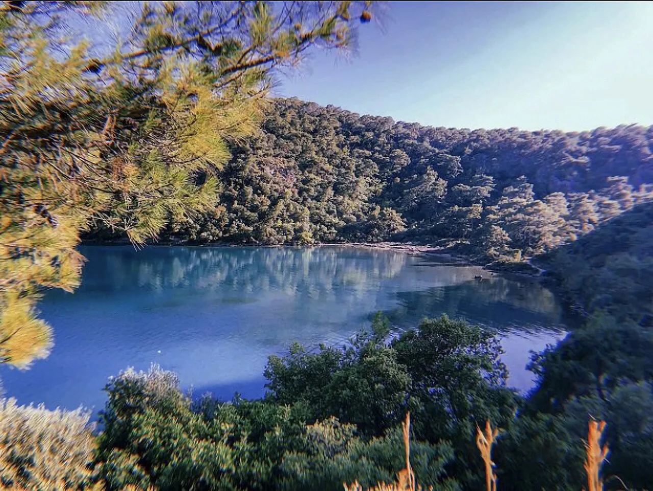 The sheltered lagoon at Ölüdeniz framed by pine-covered hills.
