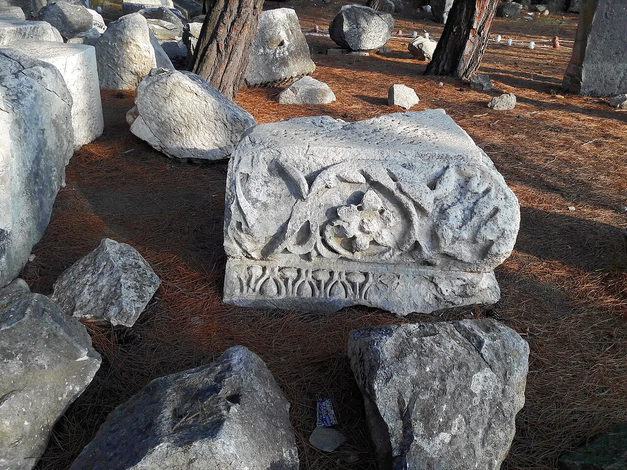 Carved stone blocks scattered among the pines at Phaselis.