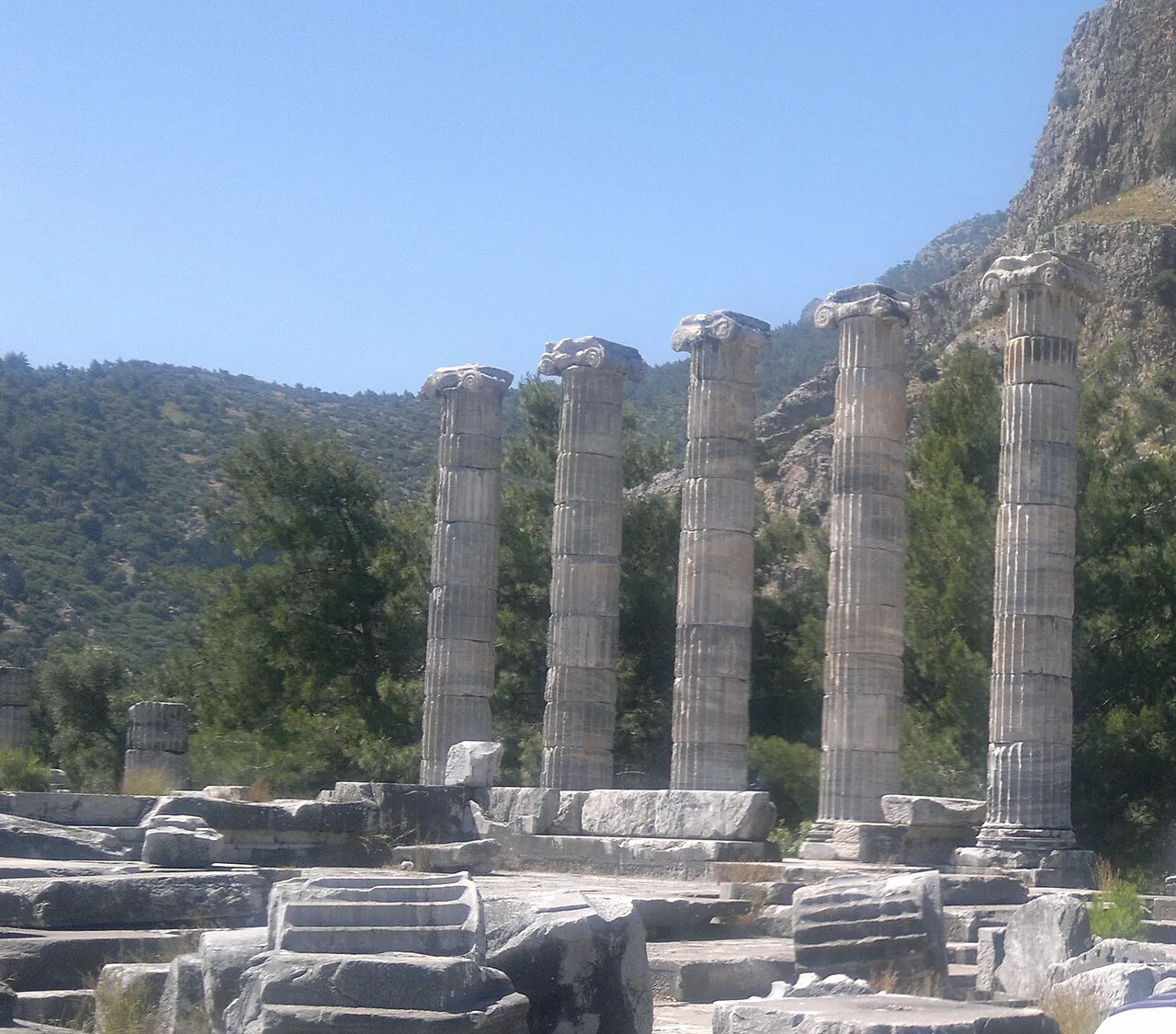 The columns of the Temple of Athena at Priene.