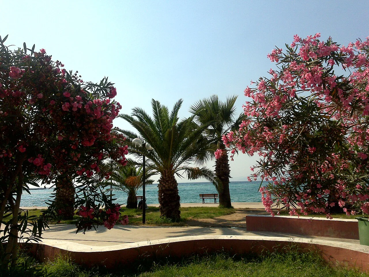 A seafront park with palms and flowering oleanders in Kuşadası.
