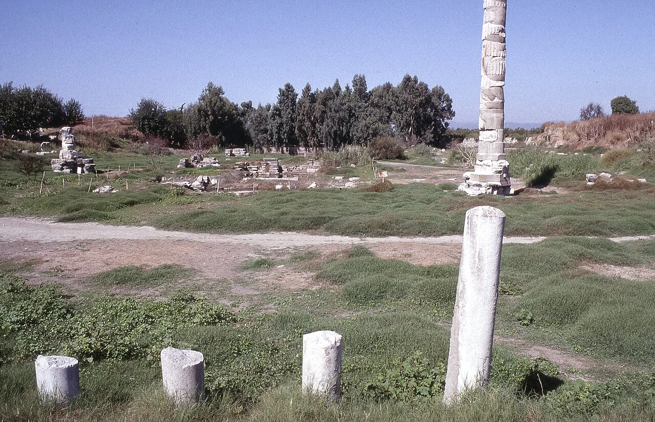 Scattered column drums on the site of the Temple of Artemis, Selçuk.