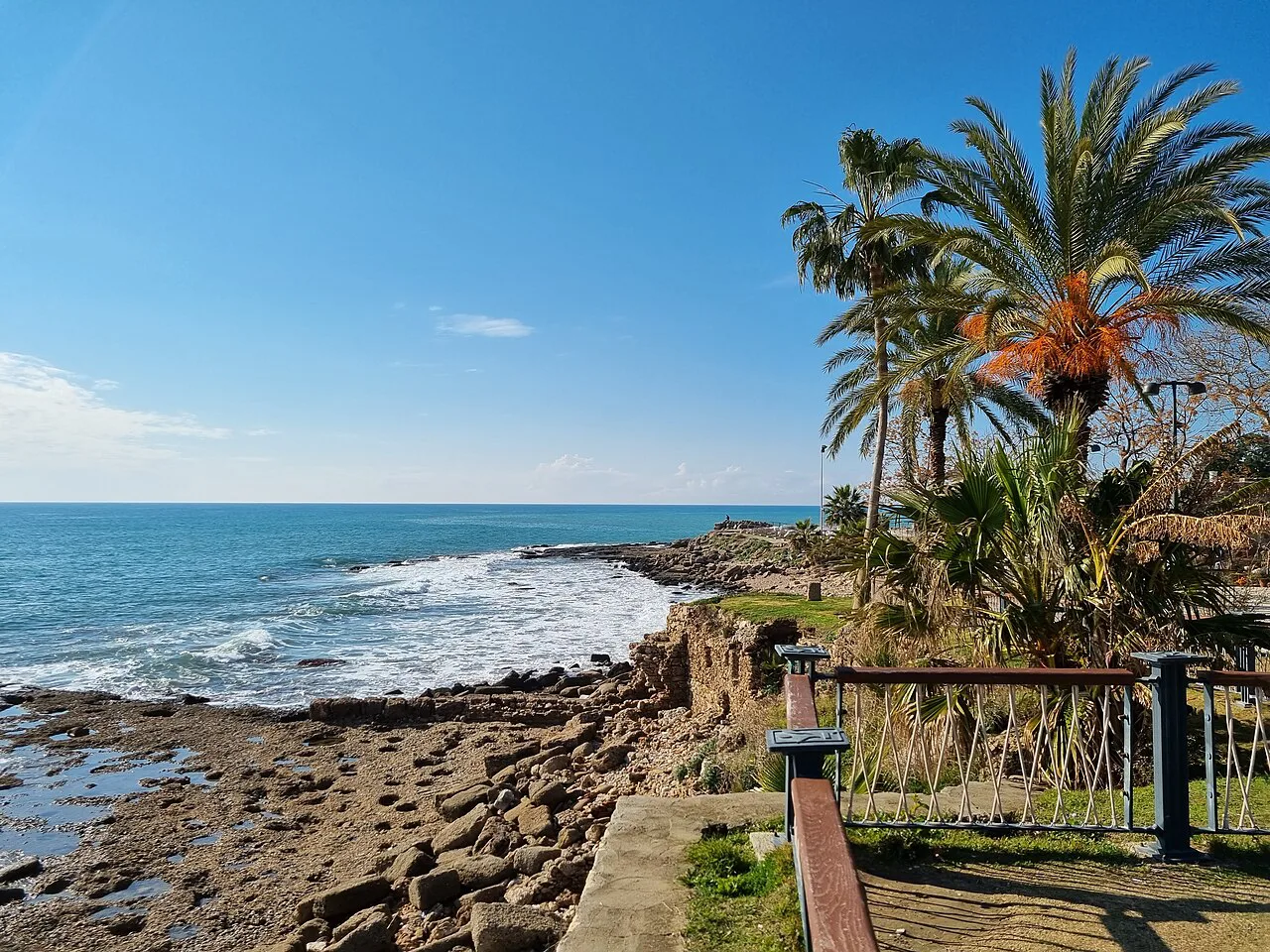 The rocky shore and palms on the coast at Side.