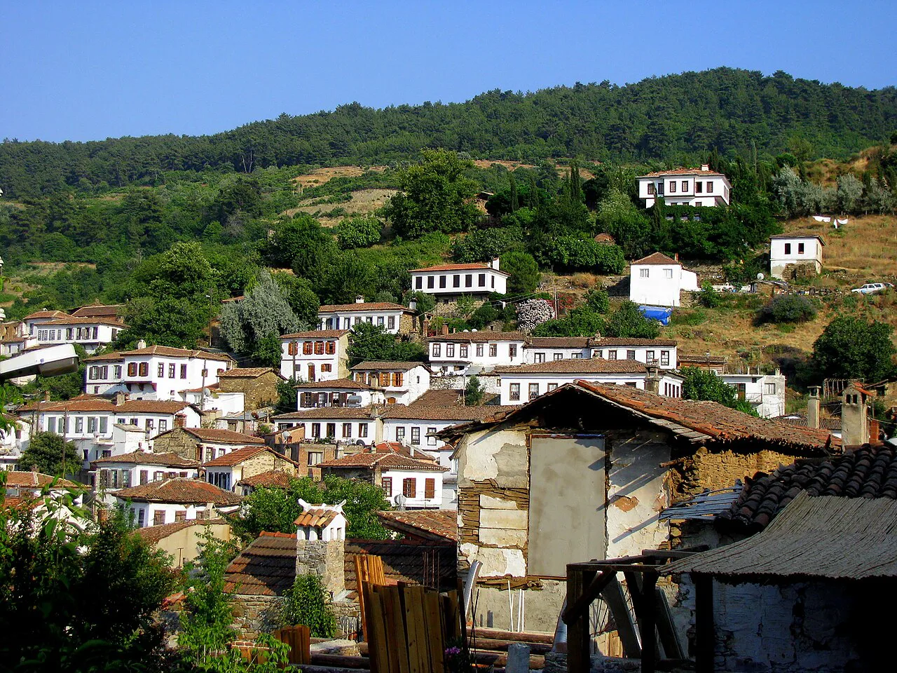 Whitewashed houses of Şirince on the wooded hillside.