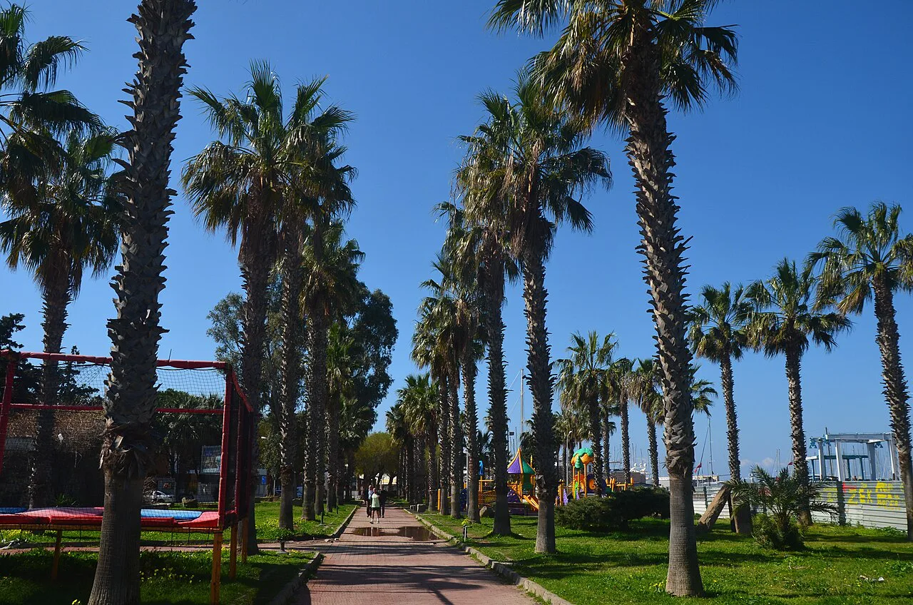 A palm-lined promenade in Yalıkavak.